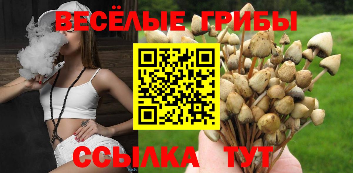 Березники  Псилоцибиновые грибы Psilocybe  где купить наркоту  Вход с VPN 